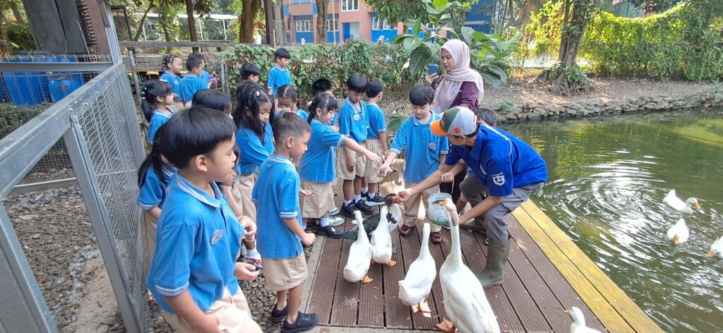 Journey week elementary 2026/2027 visit mini fishery